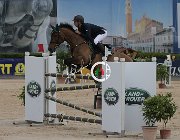 Michelucci Don Louis CsioArJYR SS7 8185 : CSIO Giovani Arezzo, Don Louis, Michelucci Flavio, foto Stefano Secchi ©